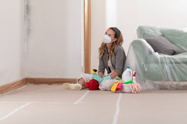 Reliable Mold Testing contractor in Point Harbor, NC by WQB Mold Removal